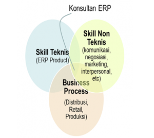 Skill konsultan ERP