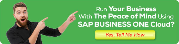 sap business one hana cloud