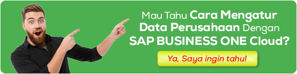 sap business one hana cloud