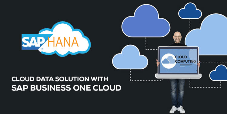 sap business one cloud hana solution