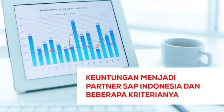 sap partner indonesia