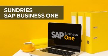 sundries sap business one