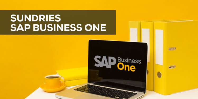 sundries sap business one