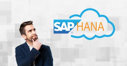 what is sap hana