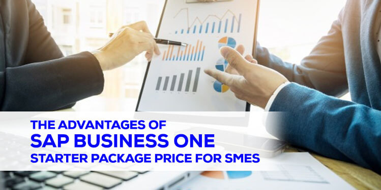 The advantages of SAP Business One Starter Package Price for SMEs