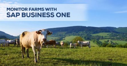 monitor farms with sap business one