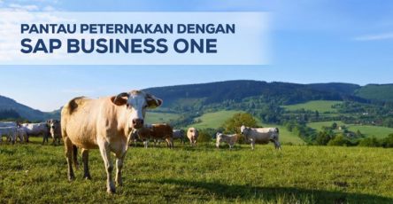 pantau peternakan dengan sap business one