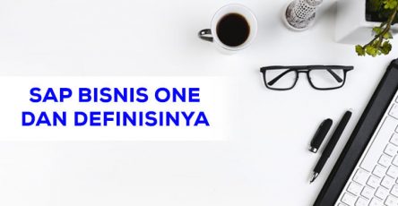 sap bisnis one dan definisinya