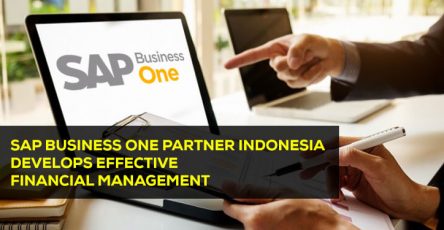 sap business one partner indonesia develops effective financial management