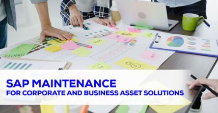sap maintenance for corporate and business asset solution
