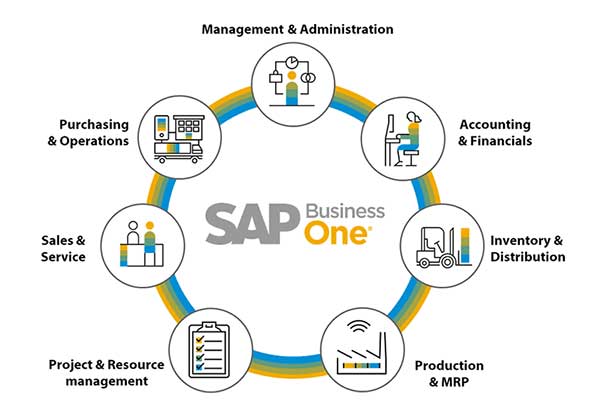 fungsi utama sap business one