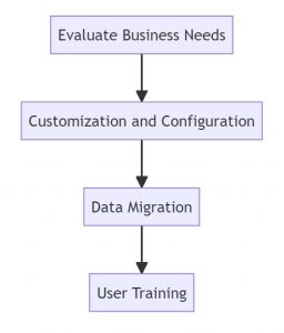 diagram of the business central implementation process