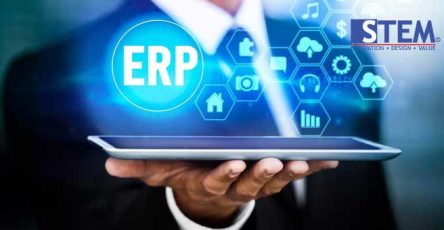 what is microsoft erp