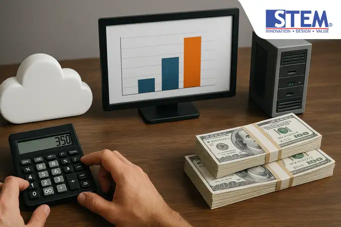 ERP Cost Simulation