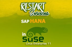 SAP Business One Tips - Restart Services SAP Hana di Suse Linux-enterprise-11 SAP Business One Tips - Restart Services SAP Hana di Suse Linux-enterprise-11