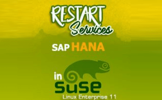 STEM SAP Business One Tips Restart Service SAP HANA di SuSE Linux STEM SAP Business One Tips Restart Service SAP HANA di SuSE Linux