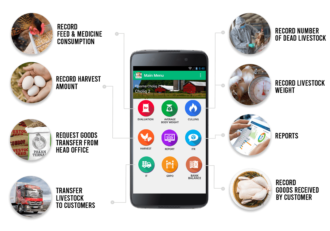 sap business one indonesia solution for Poultry farm flock using mobile android - by stem SAP Gold Partner Indonesia sap business one indonesia solution for Poultry farm flock using mobile android - by stem SAP Gold Partner Indonesia